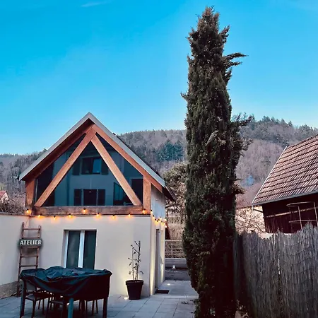 Holiday home Between White And Kaysersberg 14 People *