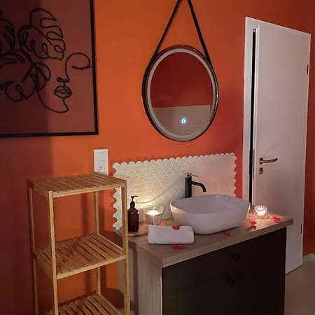 Holiday home Between White And Kaysersberg 14 People *