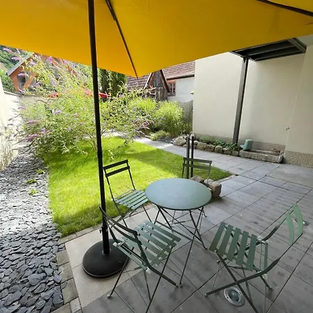 Holiday home Between White And Kaysersberg 14 People