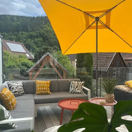 Between White And Kaysersberg 14 People Holiday home Lapoutroie