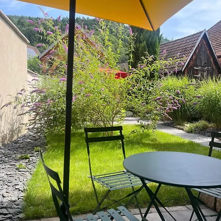 Holiday home Between White And Kaysersberg 14 People