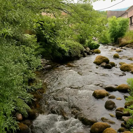 Tatil Evi Maison Maneki Prestige Pour 14 Personnes Avec Et Sauna